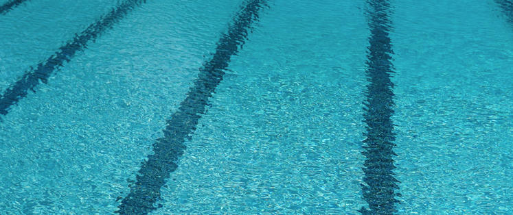 commercial swimming pool with lane lines